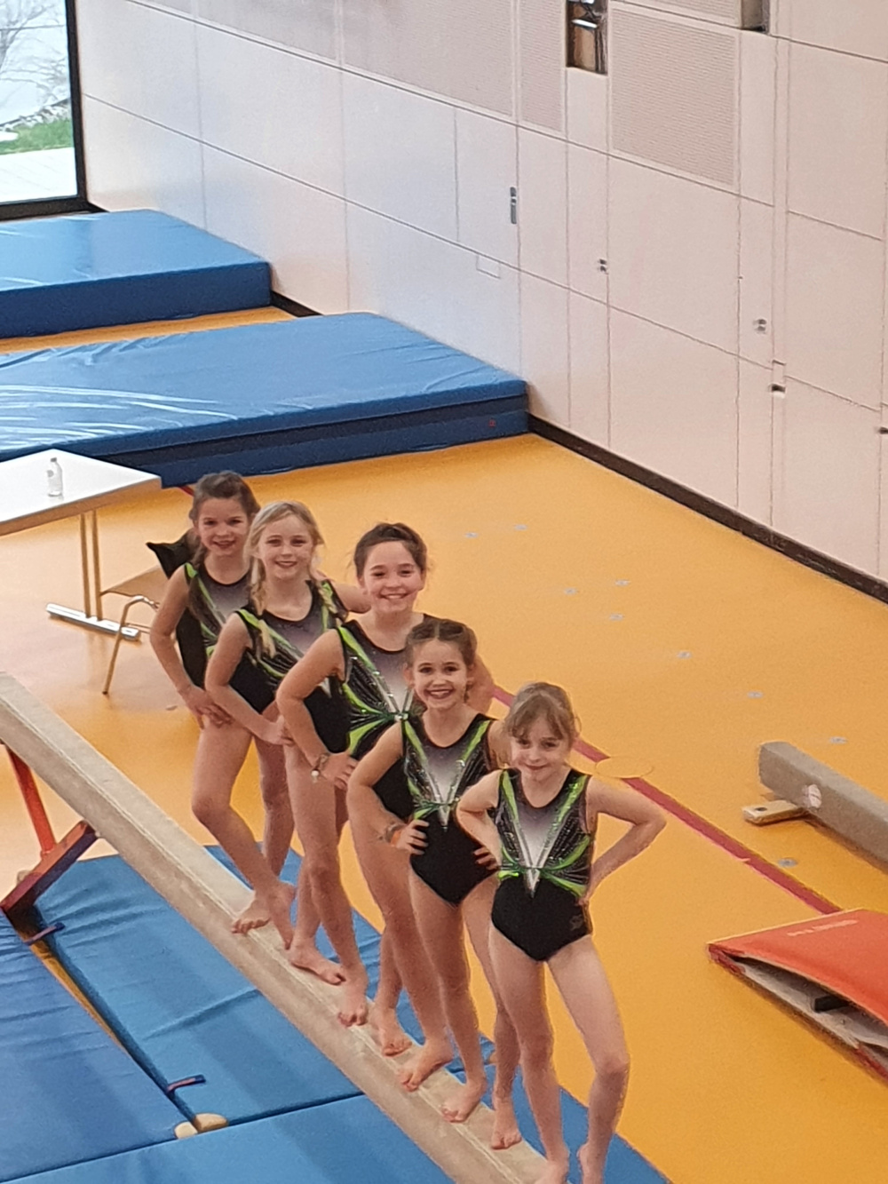 Die Turnerinnen als Gruppenbild